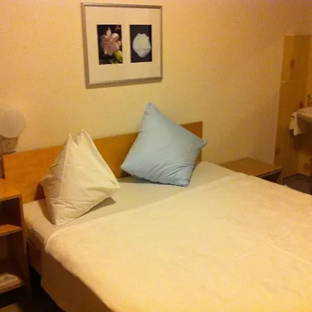 Hotel Albergo Camelia 3*