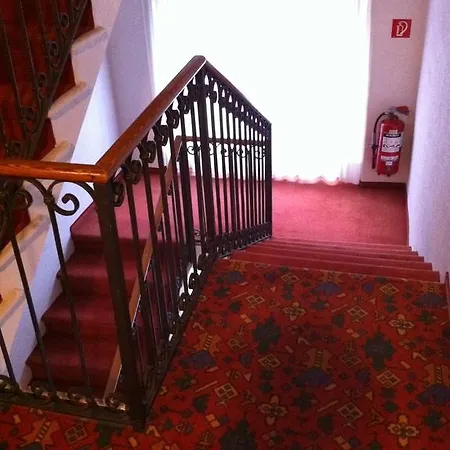 Albergo Camelia 3*