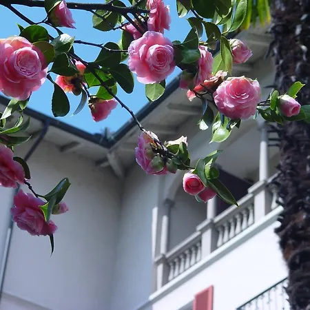 Albergo Camelia Hotel Locarno