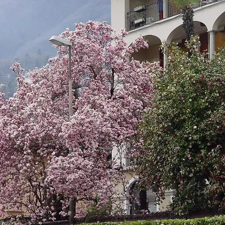 Albergo Camelia Hotel